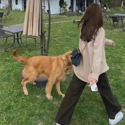 救赎之路